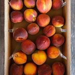THIS JUST IN ✨ 5lb boxes of farm fresh peaches from @southernhillfarms just added to the #VirtualFarmersMarket 🍑 Picked to order and delivered to us, for you, straight from the hills of Clermont. Order from wwww.realdamngoodfood.com by 12pm Monday 💕