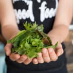 Orlando, Healthy, Vegan, Vegetarian, Gluten-Free, Fresh, Mills50
